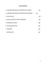 Referāts 'Iekšējā kontrole', 2.