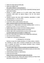 Referāts 'Iekšējā kontrole', 6.