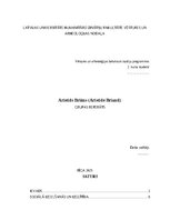 Referāts 'Aristids Briāns
GRUPAS REFERĀTS', 1.