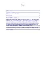 Referāts 'Darba tiesības. Brīvdienas', 2.