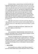 Referāts 'Darba tiesības. Brīvdienas', 5.