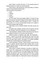 Referāts 'Platona mācība par ideālo valsti', 5.