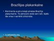 Prezentācija 'Dienvidamerikas reljefs un derīgie izrakteņi', 7.
