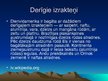 Prezentācija 'Dienvidamerikas reljefs un derīgie izrakteņi', 8.