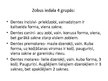 Prezentācija 'Zobi', 11.