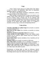 Konspekts 'Traipi', 1.