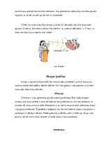 Referāts 'Skaņas reverberācija (atbalss)', 6.