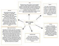 Konspekts 'Mitrie tropiskie meži', 1.