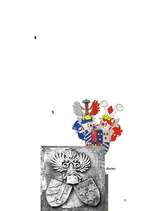 Referāts 'Osten-saken dzimta un tās īpašumi', 31.