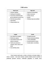 Konspekts 'Uzņēmuma SVID analīze un segmentācija', 1.