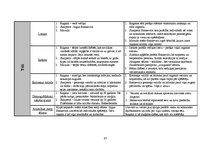 Diplomdarbs 'Basketbola kluba "VEF Rīga" reklāmas kampaņas analīze un auditorijas attieksmes ', 97.