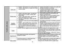 Diplomdarbs 'Basketbola kluba "VEF Rīga" reklāmas kampaņas analīze un auditorijas attieksmes ', 99.