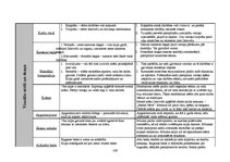 Diplomdarbs 'Basketbola kluba "VEF Rīga" reklāmas kampaņas analīze un auditorijas attieksmes ', 109.