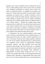 Referāts 'Administratīvo naudas sodu piespiedu izpilde', 13.