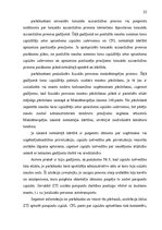 Referāts 'Administratīvo naudas sodu piespiedu izpilde', 22.