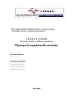 Referāts 'Mājaslapa kā augstskolas tēla sastāvdaļa', 1.