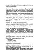 Konspekts 'Valsts rašanās teorijas', 2.