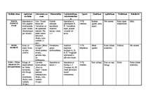 Konspekts 'Tematiskais plāns pirmsskolai visam gadam', 2.