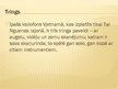 Prezentācija 'Āzijas tautu mūzika', 14.