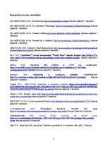 Referāts 'Latvijas tūrisma uzņēmums SIA "Aerodium"', 4.