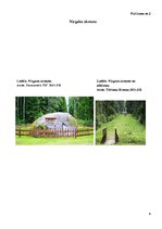 Referāts 'Nīcgales akmens. Tūrisms', 9.