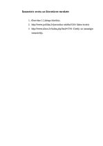 Eseja 'Cilvēku mijiedarbība saskarsmē', 5.