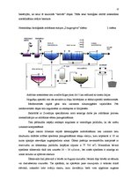 Referāts 'Uzņēmums "Rīgas Ūdens"', 10.