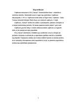 Biznesa plāns 'Biznesa plāns suņu apmācības uzņēmumam', 2.