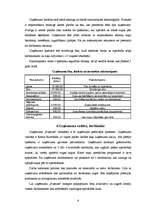 Biznesa plāns 'Biznesa plāns suņu apmācības uzņēmumam', 6.