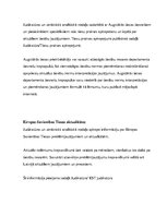 Referāts 'Tiesību normu realizācija, judikatūra un tiesu prakse', 19.