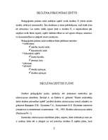 Prakses atskaite 'Pētnieciskā un pedagoģiskā prakse audzināšanā', 3.