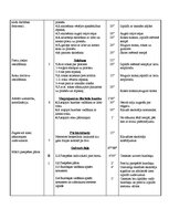 Konspekts 'Sporta stundas konspekts florbolā 4.klasei', 2.