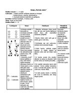 Konspekts 'Sporta stundas konspekts florbolā 4.klasei', 4.