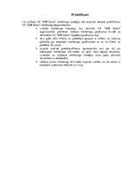 Prakses atskaite 'Mārketinga pasākumi AS "SEB banka"', 13.