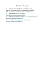 Referāts 'Pašvaldības kompetence sociālās palīdzības  sniegšanā', 9.