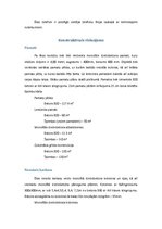 Referāts 'Būvdarbu tehnoloģija un darba drošība', 9.