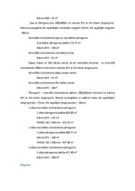 Referāts 'Būvdarbu tehnoloģija un darba drošība', 10.