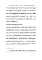 Referāts 'Būvdarbu tehnoloģija un darba drošība', 28.