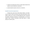 Referāts 'Būvdarbu tehnoloģija un darba drošība', 48.