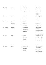 Konspekts 'Terminu tulkojums svešvalodu terminoloģijā', 2.