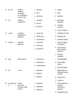 Konspekts 'Terminu tulkojums svešvalodu terminoloģijā', 3.