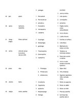 Konspekts 'Terminu tulkojums svešvalodu terminoloģijā', 8.