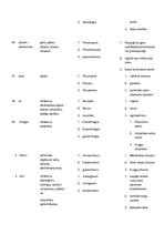 Konspekts 'Terminu tulkojums svešvalodu terminoloģijā', 9.