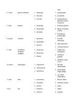 Konspekts 'Terminu tulkojums svešvalodu terminoloģijā', 10.