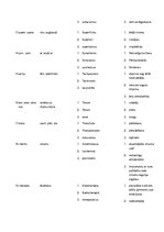 Konspekts 'Terminu tulkojums svešvalodu terminoloģijā', 11.