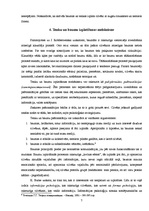 Referāts 'Tenku un baumu psiholoģiskais mehānisms', 7.