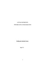 Referāts 'Hatšepsute - sieviete faraons', 1.