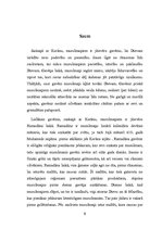 Paraugs 'Islāma pieci pīlāri', 8.