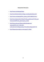 Paraugs 'Islāma pieci pīlāri', 12.