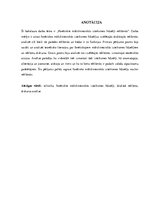 Diplomdarbs 'Phonetic Stylistic Devices in Advertisements', 3.